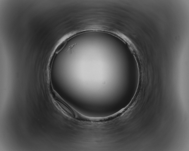 X0000086301238200704131602