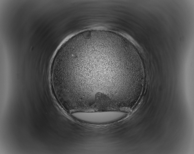 X0000086301240200704131602