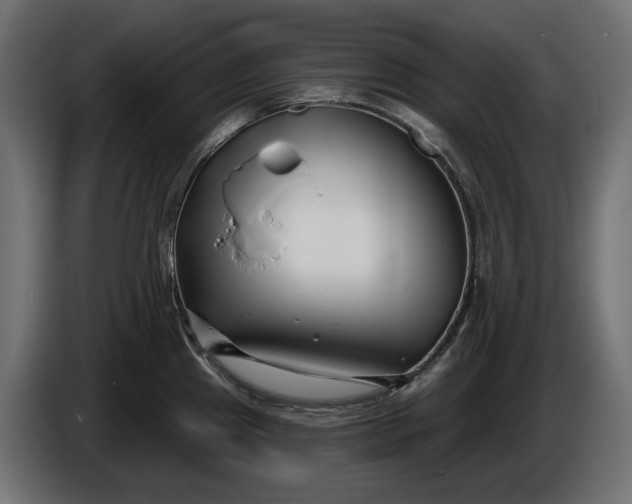 X0000086301241200704131602