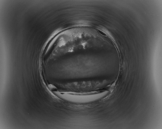 X0000086301243200704131602