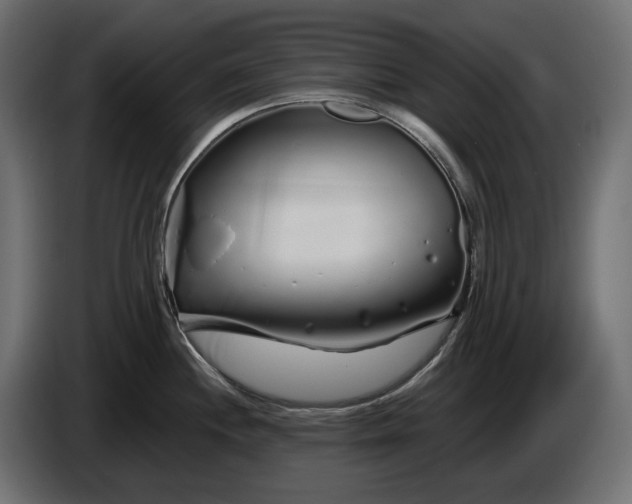 X0000086301244200704131602