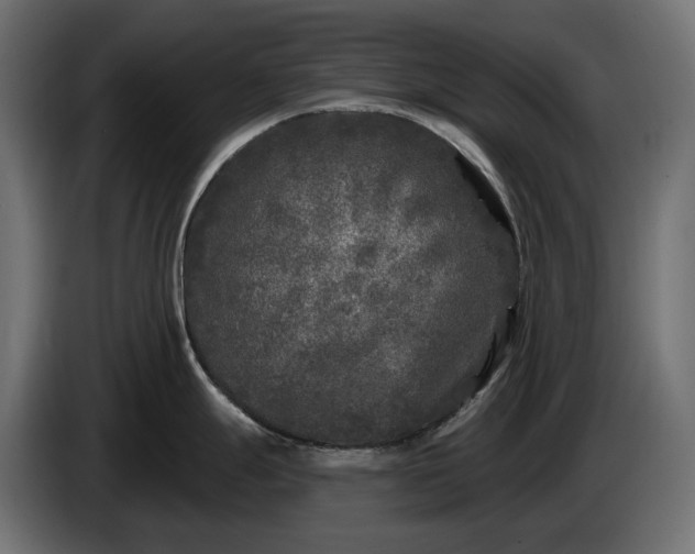 X0000086301247200704131603