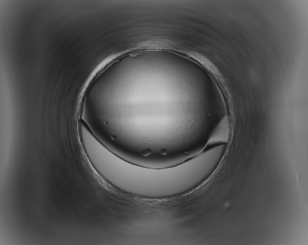 X0000086301248200704131603