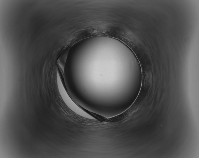 X0000086301250200704131602