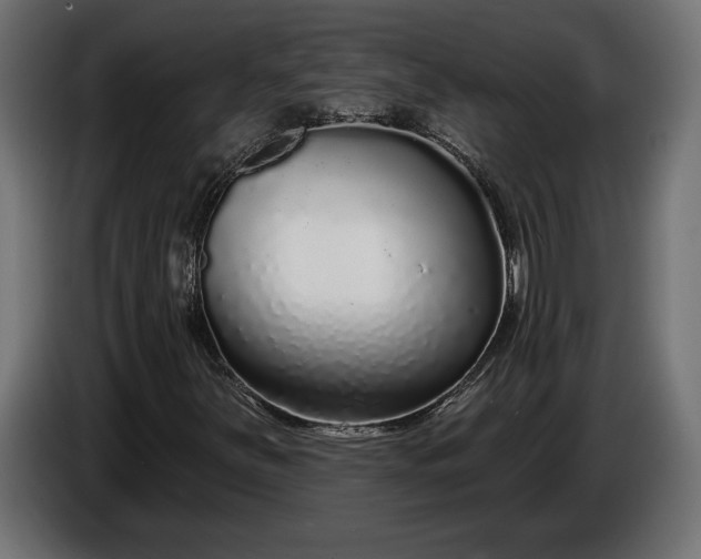 X0000086301251200704131602