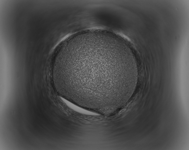 X0000086301255200704131602