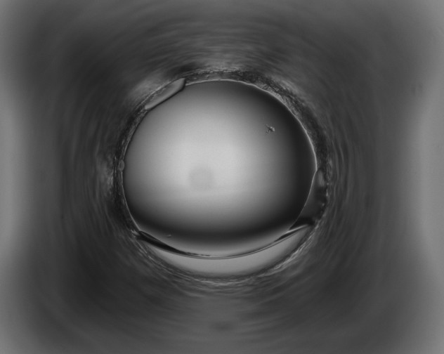 X0000086301257200704131602