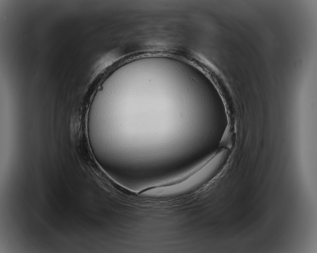 X0000086301259200704131602