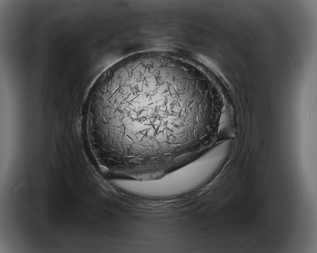 X0000086301260200704131602