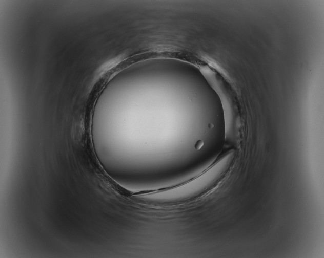 X0000086301261200704131602