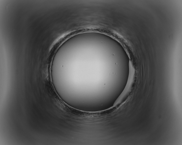 X0000086301262200704131602