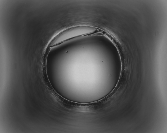 X0000086301264200704131602