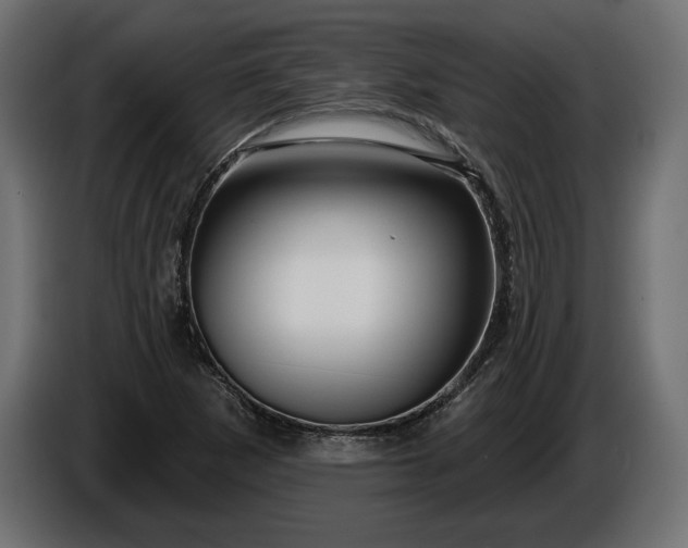 X0000086301265200704131602