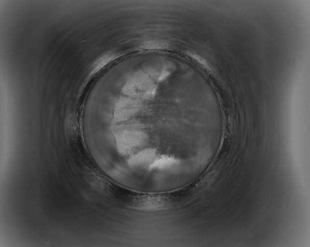 X0000086301266200704131602