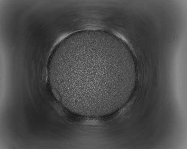 X0000086301267200704131602