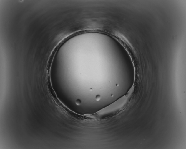 X0000086301268200704131602