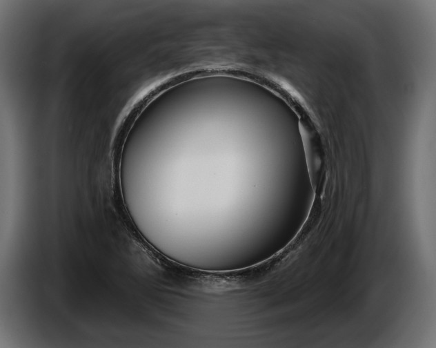 X0000086301270200704131602