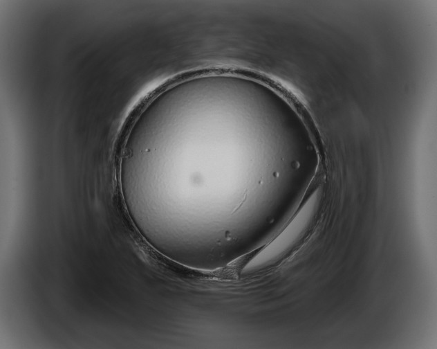 X0000086301271200704131602