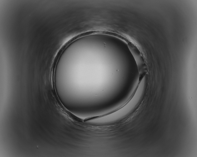 X0000086301272200704131602