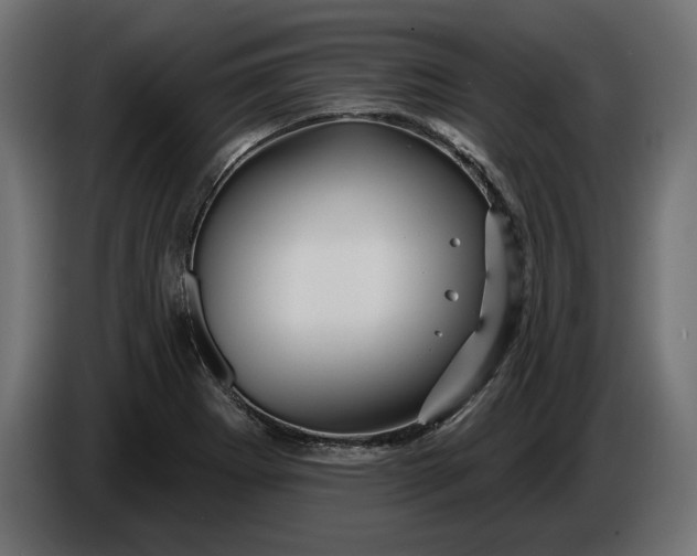 X0000086301273200704131602