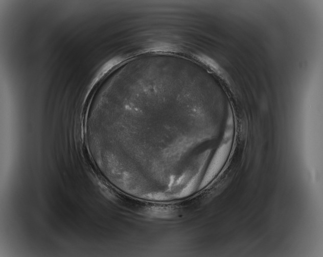 X0000086301274200704131601