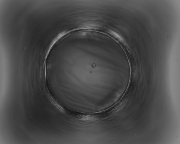 X0000086301275200704131601