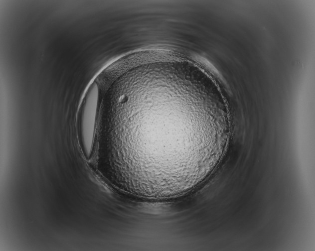 X0000086301276200704131601