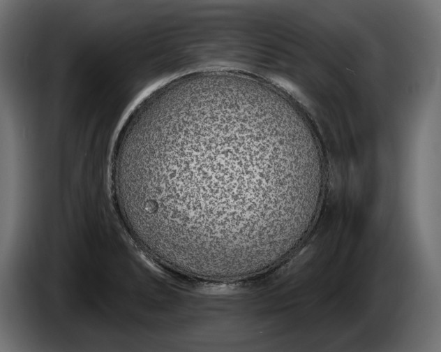 X0000086301278200704131601