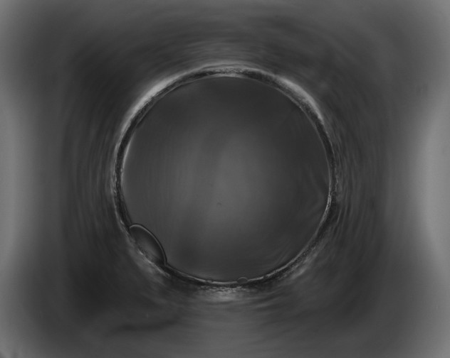 X0000086301279200704131601