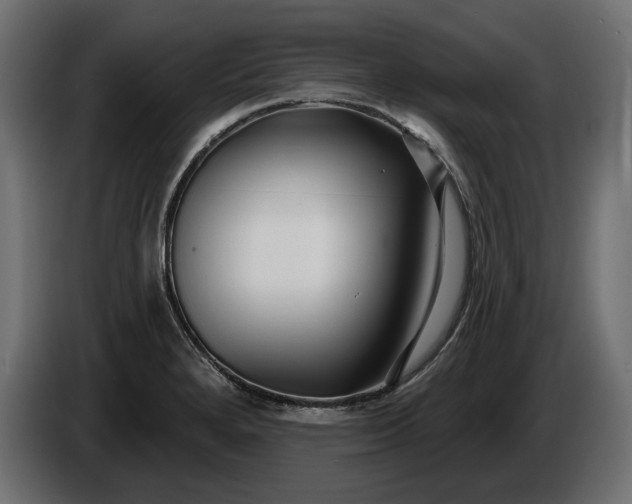 X0000086301280200704131601