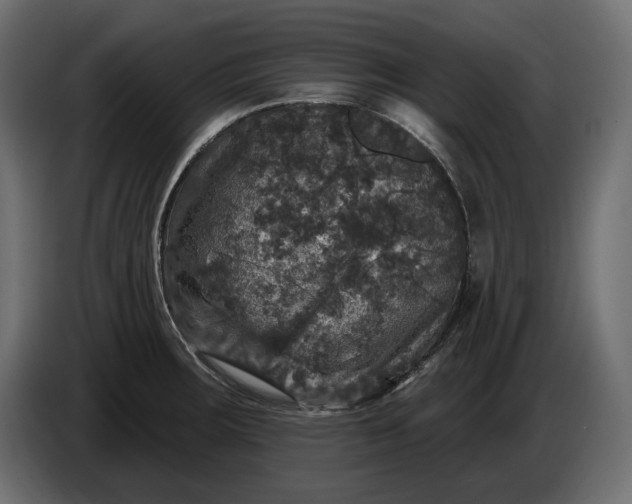 X0000086301283200704131601