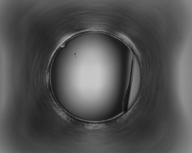 X0000086301284200704131601