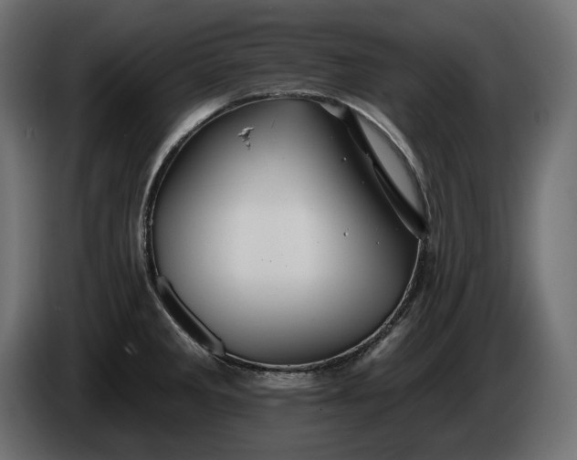 X0000086301285200704131601