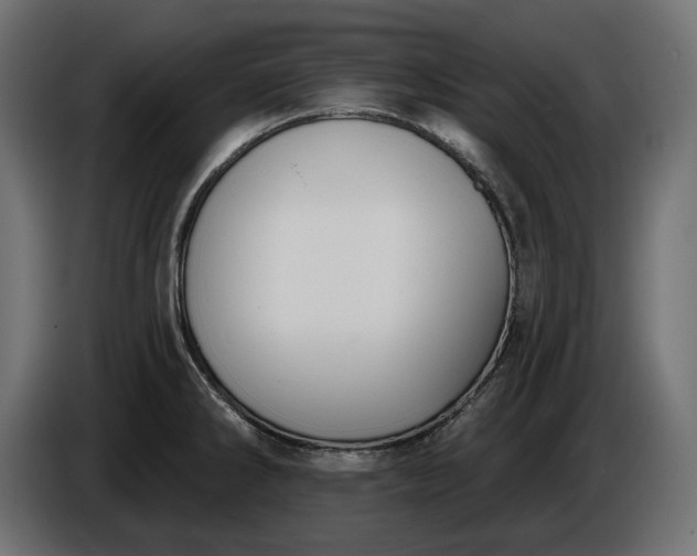 X0000086301286200704131601