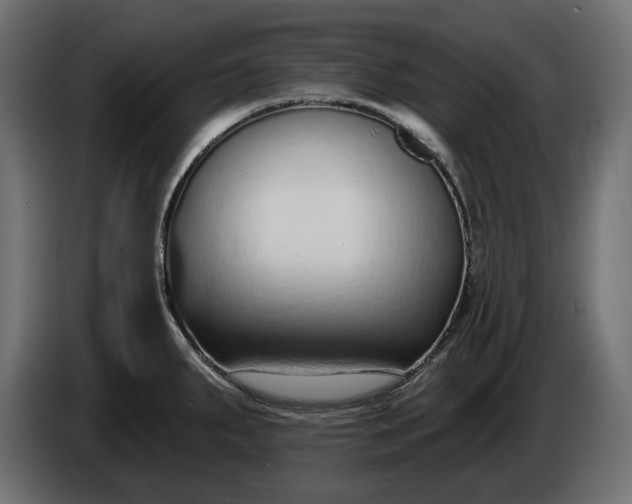 X0000086301287200704131601