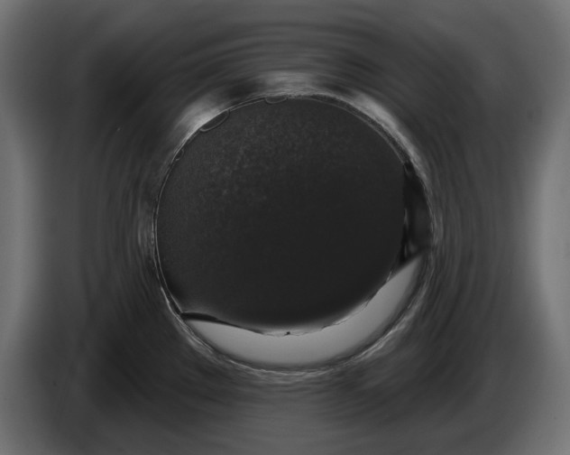 X0000086301289200704131601