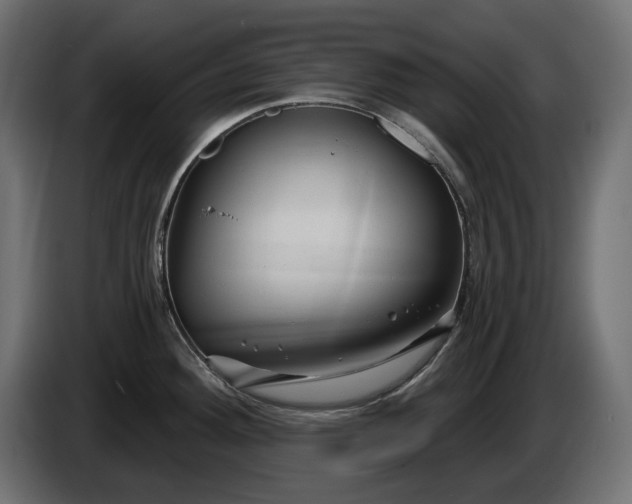 X0000086301292200704131601