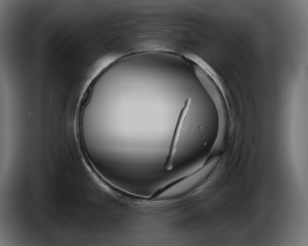 X0000086301293200704131601