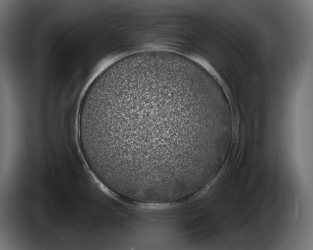 X0000086301294200704131601