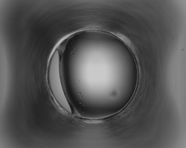 X0000086301296200704131601