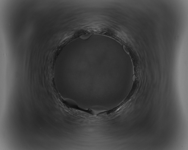 X0000086301297200704131601