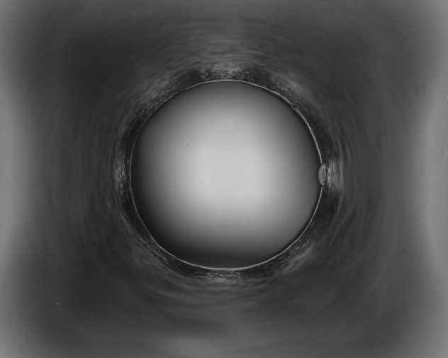 X0000086301299200704131601