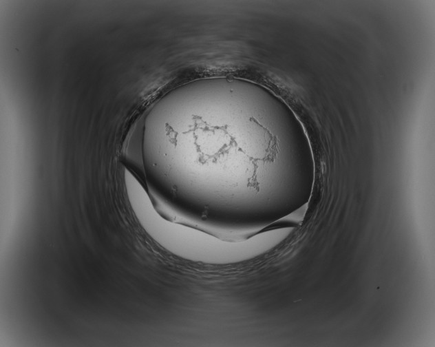 X0000086301300200704131601