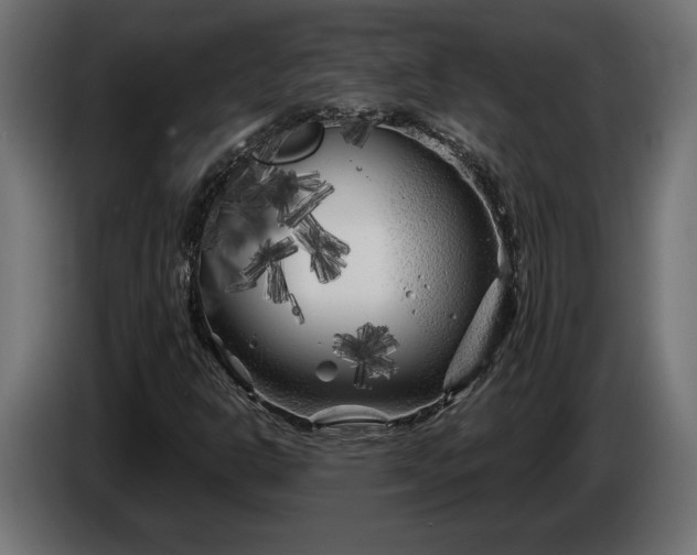 X0000086301302200704131601