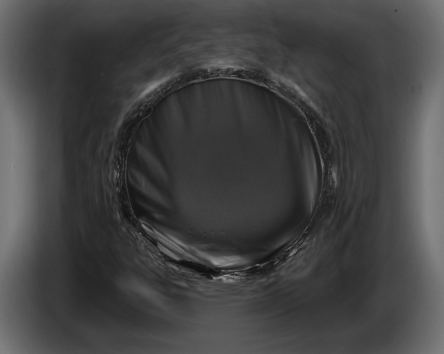 X0000086301303200704131601