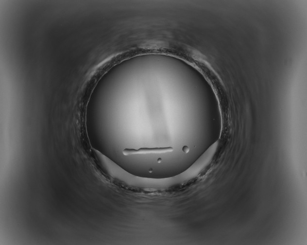 X0000086301304200704131601