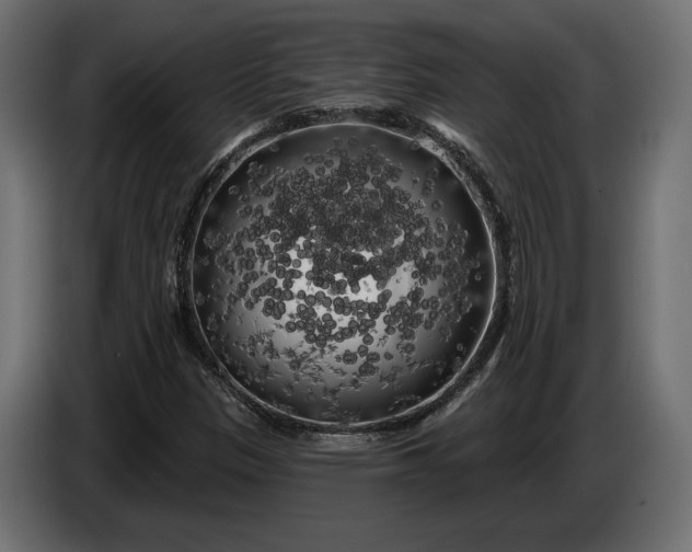 X0000086301305200704131601