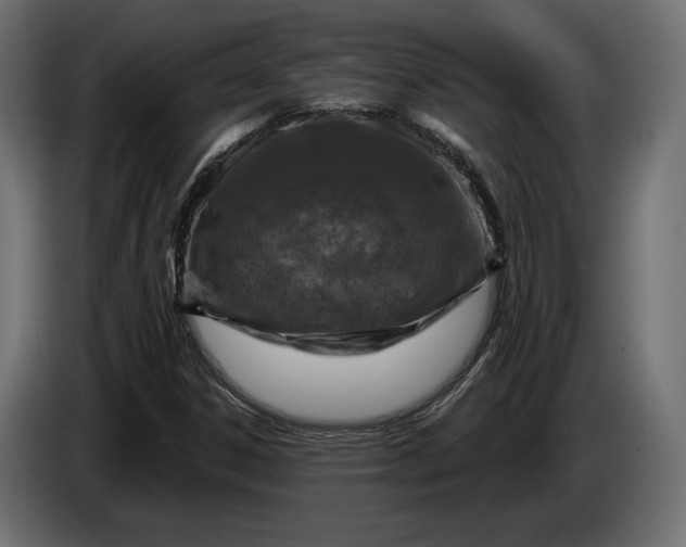 X0000086301306200704131601