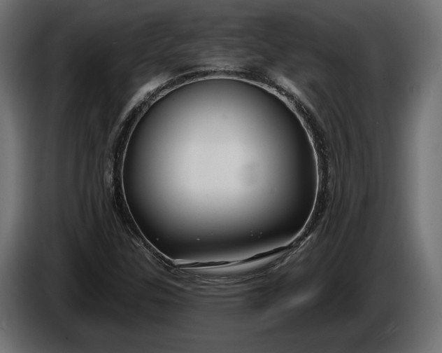 X0000086301307200704131601