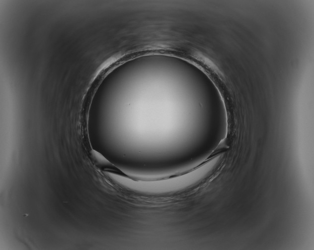 X0000086301308200704131601